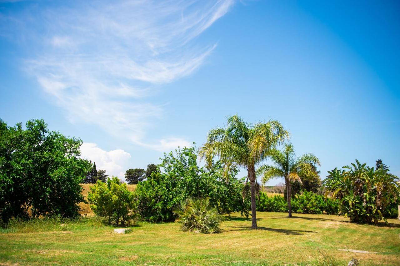Villa Conca Marco トッレ・デル・オルソ エクステリア 写真