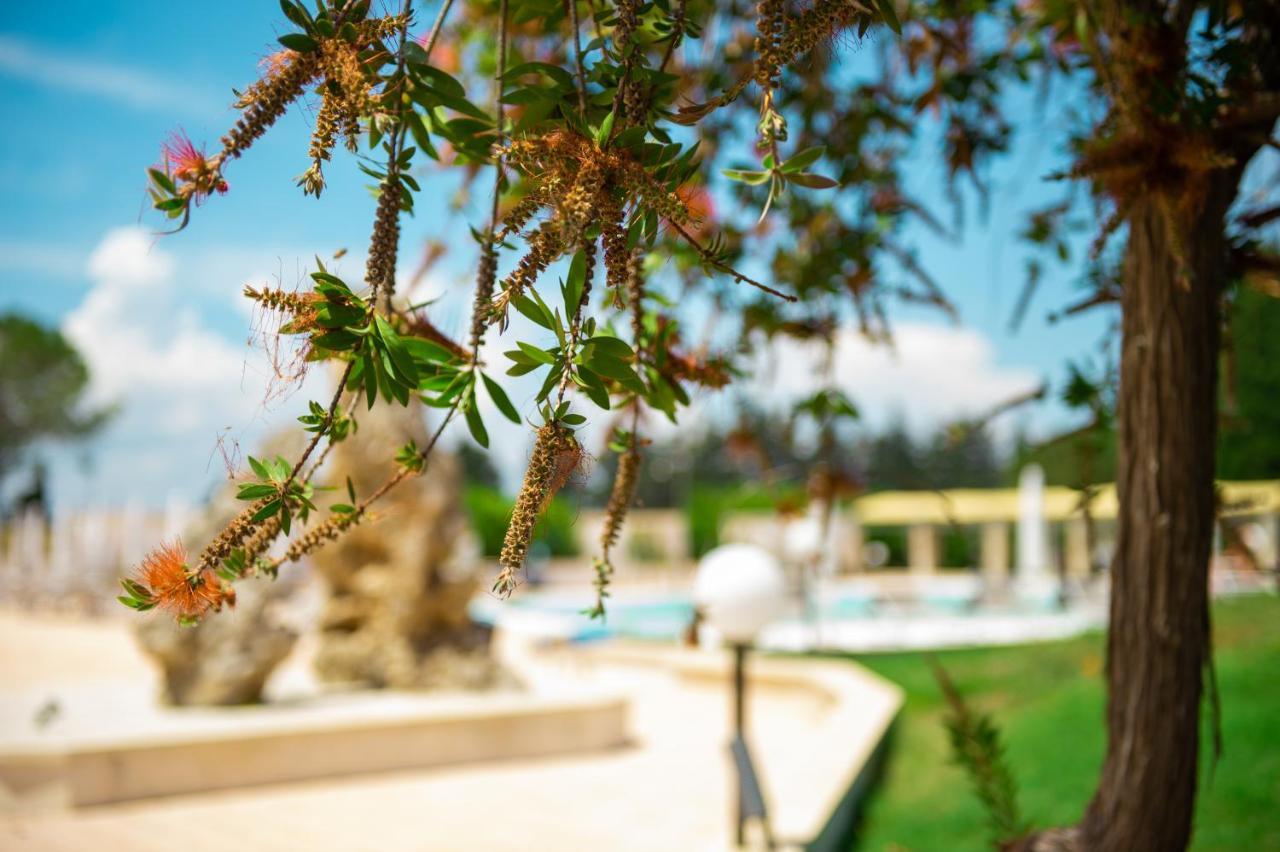 Villa Conca Marco トッレ・デル・オルソ エクステリア 写真